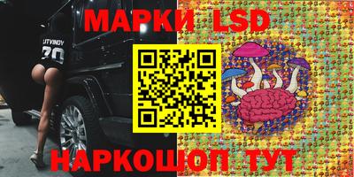 прущие крисы Нарткала